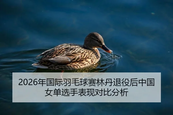 2026年国际羽毛球赛林丹退役后中国女单选手表现对比分析