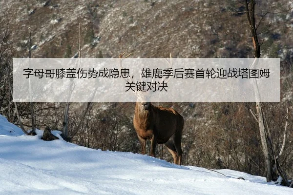 zi-mu-ge-xi-gai-shang-shi-cheng-yin-huan-xiong-lu-ji-hou-sai-shou-lun-ying-zhan-ta-tu-mu-guan-jian-dui-jue-3-966.jpg