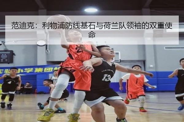 范迪克：利物浦防线基石与荷兰队领袖的双重使命